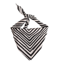 Load image into Gallery viewer, Bandana | No. 034 Sammie